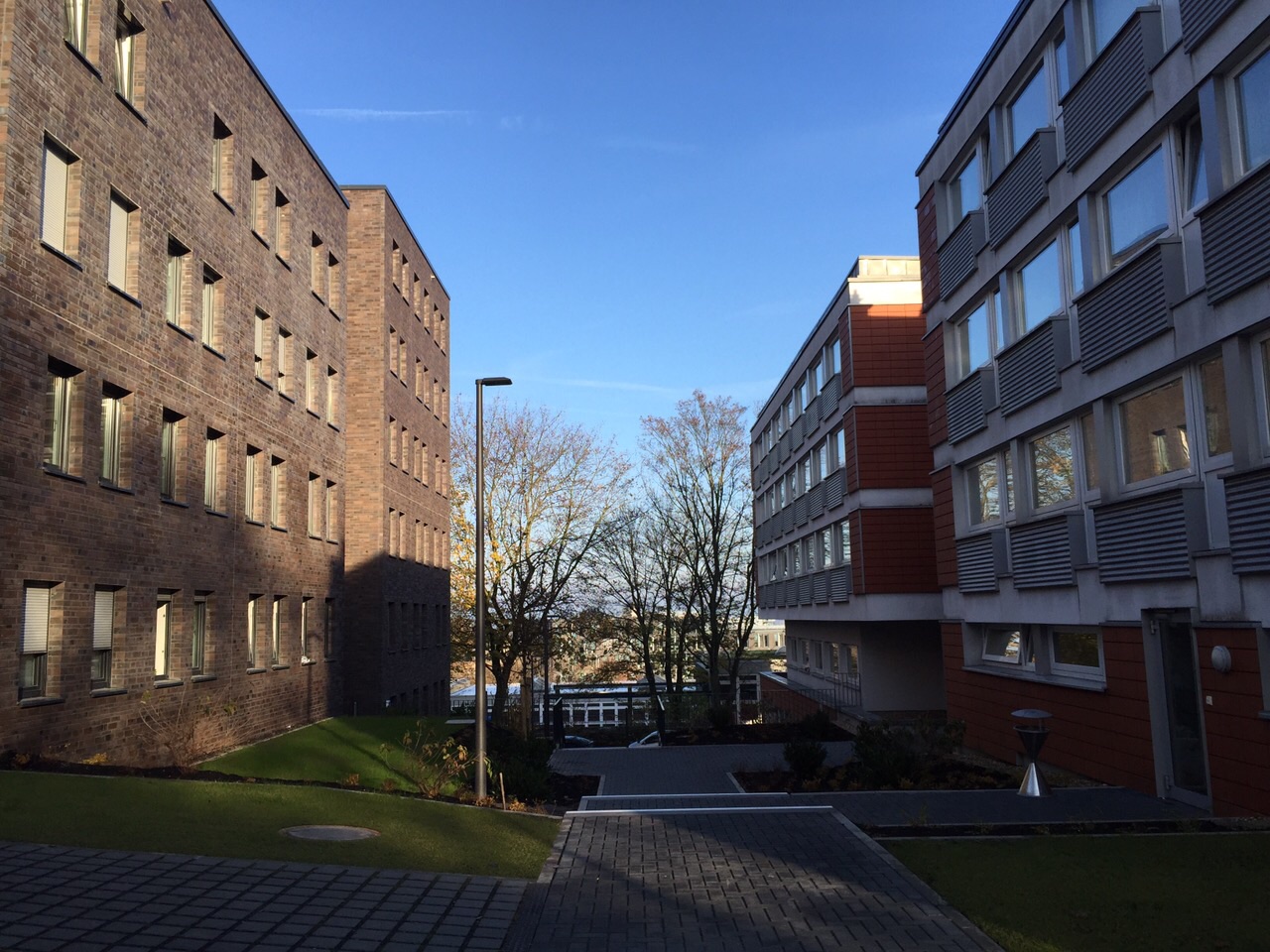 HBS Wohnheim Hainbuchenstraße e.V. Wohnheim